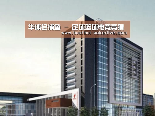 华体会真人娱乐中心案例展示四