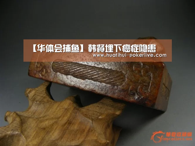 【华体会捕鱼】韩餐埋下癌症隐患(图1) 华体会电子游艺