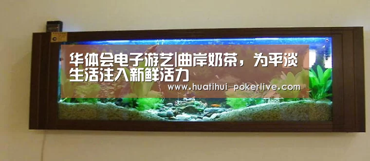 华体会电子游艺|曲岸奶茶,为平淡生活注入新鲜活力(图1) 华体会电子游艺
