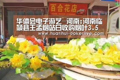 华体会电子游艺-河南:河南临颍县王孟烟站日收购烟叶3.5万公斤(图4) 华体会综合娱乐平台