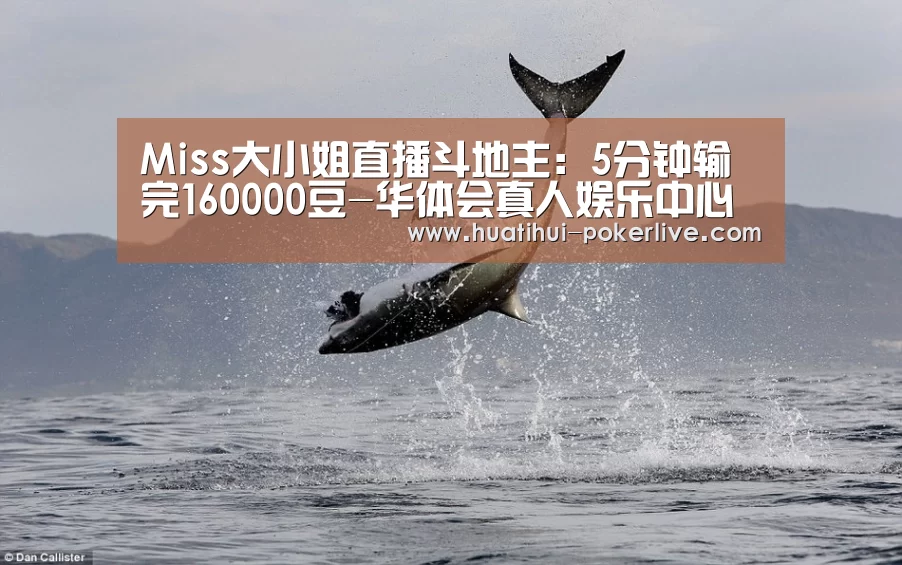 华体会真人娱乐中心