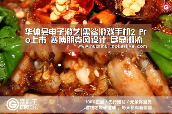 华体会电子游艺|黑鲨游戏手机2 Pro上市 赛博朋克风设计 尽显潮流担当(图2) 华体会综合娱乐平台