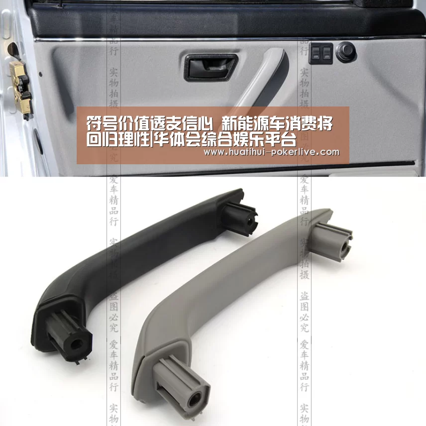 符号价值透支信心 新能源车消费将回归理性|华体会综合娱乐平台(图1) 华体会捕鱼