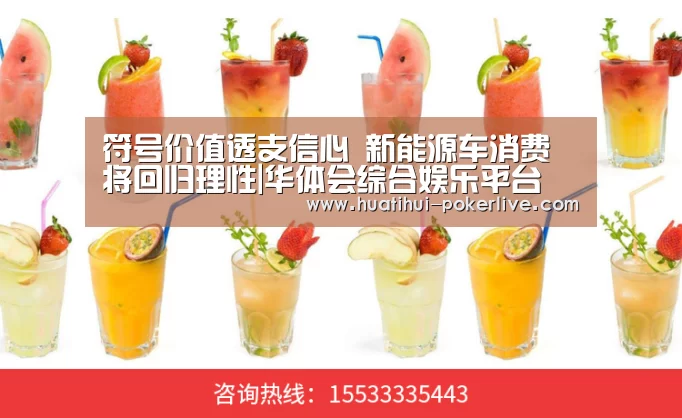 符号价值透支信心 新能源车消费将回归理性|华体会综合娱乐平台(图3) 华体会真人娱乐中心